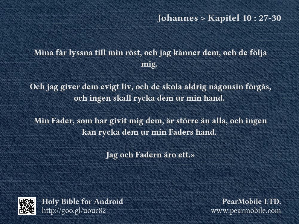 Johannes, Kapitel 10:27-30
